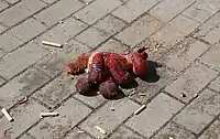 Ein nach dem Angriff aufgefundenes Kuscheltier