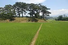 Kisakata