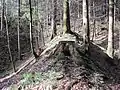 Wall und Gräben