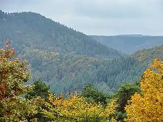 Blick von der Hohen Loog südwestwärts zum Hahnenschritt (mittig)mit dem Hüttenberg (links dahinter)