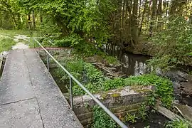 Stauanlage und Abfluss des Gauchsbachs
