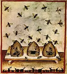 Bienenkörbe des 14. Jahrhunderts