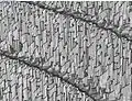Detaildarstellung bei sehr hoher Vergrößerung. Stegbreite der senkrechten Strukturen zirka 10 µm