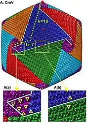 Kryo-EM-Rekonstruktion des ikosaedrischen CroV-Virions.