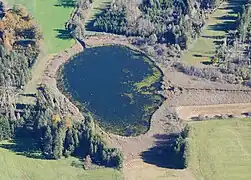 Liensee