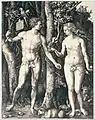 Albrecht Dürer:Adam und Eva1504