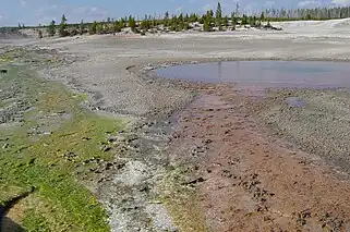 Green and red algae ground along the banks.jpg