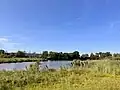 Der obere(kleinere) Bommer Weiher