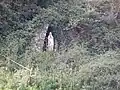 eines der beiden Oratorien in Boussières
