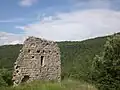 Burgreste