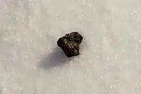 Meteoriten-Fundstück der Uralischen Föderalen Universität Ural, gefunden am Tschebarkulsee in der Nähe des Meteor-Einschlags