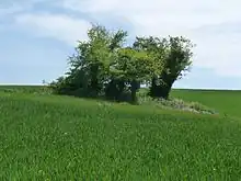 Dolmen La Pierre Folle
