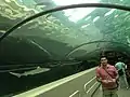Unterwassertunnel
