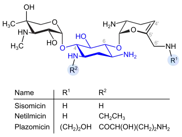 Dehydro-Analoga von Gentamicin (blau: Desoxystreptaminstruktur)
