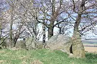 Dunnideer Steinkreisrest
