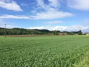 Ebrachtal bei Neuhausen (Ebersberg)
