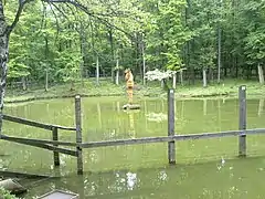 Ententeich beim Elchgehege