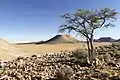 Farm Aar in Namibia (2018)