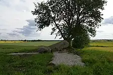 Firse sten