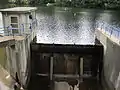 Fischbauchklappe an der Perlenbachtalsperre