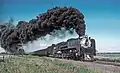 UP 844 in Colorado (Juli 1981)