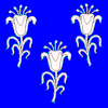 Fahne von Chancy