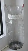 PET-Flasche als Fliegenfänger