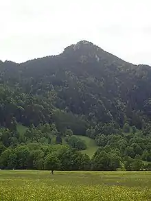 Der Geierstein von Lenggries aus