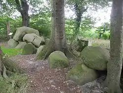 Großsteingrab Meyenburg