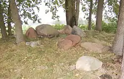 Das Großsteingrab Nesenitz