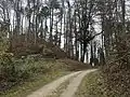 Zugang von Süden