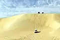 Wüste