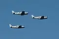 Beechcraft Bonanzas der 100. Staffel „Flying Camel“, im April 2023 am israelischen Unabhängigkeitstag