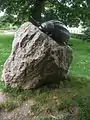 Skulptur Kolorádó-bogár