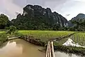 Bambusstege zwischen Reisfeldern, Vietnam
