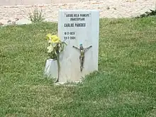 Carlos Paredes