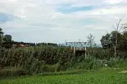 Lobsigensee – Aussichtsplattform im Schilfgürtel