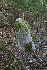 "Der Stein" – Menhir bei Dossenbach