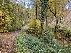 Spatzendelle, die die ehemaligen Teiche speiste,  unterquert den Wanderweg A2