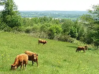 Blick vom Massif de l’Arbre nach Südost in Richtung Orgedeuil