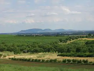 Mikulovská vrchovina von Norden