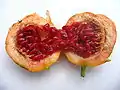 Offene, reife Frucht mit orangefarbener Schale.