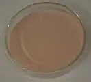 Leuchtpigment rot (Calciumsulfid)