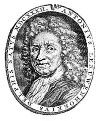 Druck von Goeree