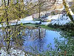 Quellteich des Berger Baches