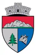 Wappen von Ciuruleasa