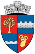 Wappen von Cășeiu