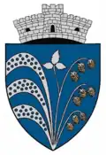 Wappen von Malnaș