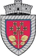 Wappen von Sânger