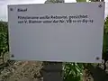 Hinweistafel Weinlehrpfad auf dem Werderaner Wachtelberg